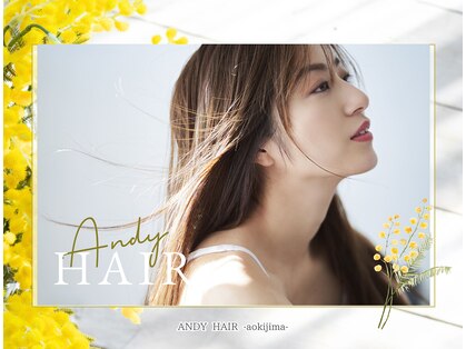 アンディヘア アオキジマ(ANDY HAIR aokijima)の写真