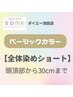 【白髪／全体ショート】頭頂部から30ｃｍまでの長さ　ベーシックカラー