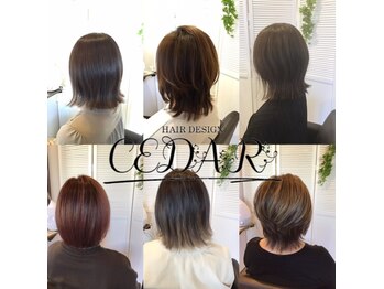 HAIR DESIGN CEDAR