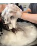加圧ウルトラファインバブル ★ その場で実感できる、理想の【髪と頭皮】