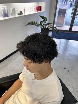 ディーボーイリタ 光の森(D-BOY Lita) ツイスパMIX