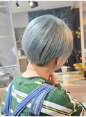マッシュショート×ブルーシルバー