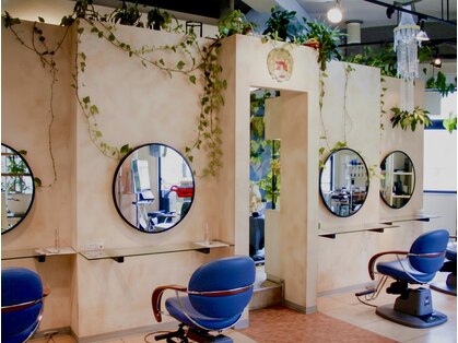 ヘアーリゾートフェニックスの写真