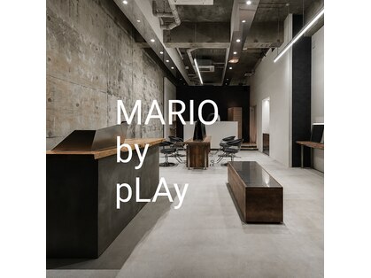 マリオバイプレイ(MARIO by pLAy)の写真