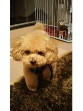 ラッキーヘアー 我孫子店(Luckey Hair)&nbsp;カタウラ 