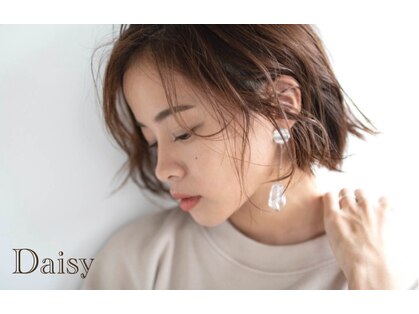 デイジー(Daisy)の写真
