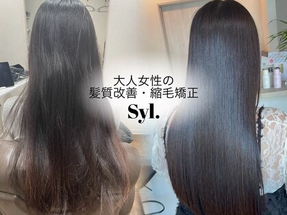 シール(Syl)の写真