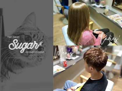 シュガー(sugar)の写真
