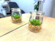 ヘア アリーナ(Hair ARENA)の雰囲気（女性スタッフのみだから,気になる髪の悩みも相談ＯＫ♪）