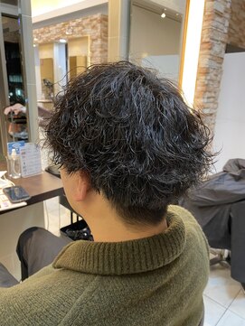 アルターリアン(aL ter LieN) マッシュパーマ/ウルフ/アッシュブラック/カルマパーマ 宮野翔