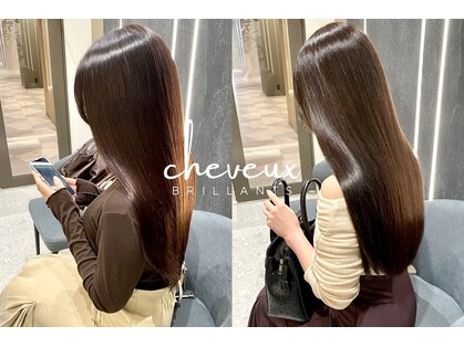 シュヴーブリヤン(cheveux brillants)の写真