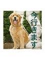 アミバイアブソ 新宿(ami by Absolute) 大きな犬をいつか飼います♪
