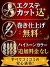 【ハイライトのみ】最高の品質♪100%バージンレミーシールエクステ17本¥6,500