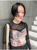 ボブレイヤー