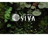 【初回限定★】SIVAデザインカット+ディープレイヤーTreatment¥6000