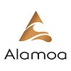 アラモア 国立(Alamoa)のお店ロゴ