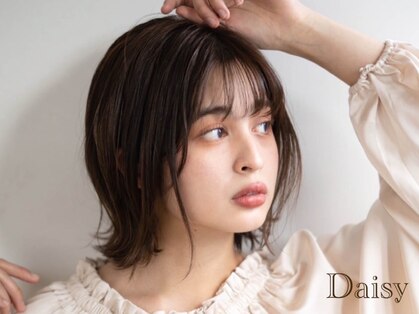 デイジー(Daisy)の写真