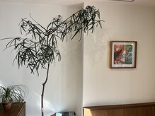 シーン(SCENE)の雰囲気（素敵な作品もご覧いただけます☆［荒田美容室/マンツーマン］）