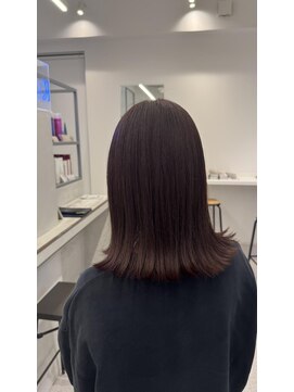 ザスカイ(THE SKY) レッドブラウン