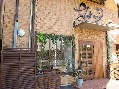 エレメント(element)の写真