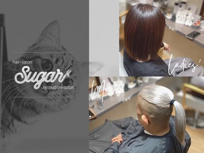 シュガー(sugar)の写真