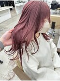 ピンクラベンダー
