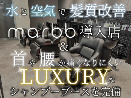 アンビシャス 河辺(ambitious)の写真