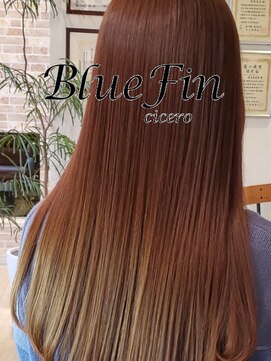 ブルーフィン シセロ(Blue Fin cicero) 佐藤浩子の髪質改善