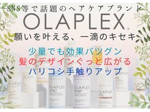 フェイムヘアアンドフェイスの雰囲気（ダメージ補修し毛髪本来の強さを維持するケア剤取り扱い店）