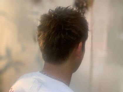 ミント(mint)の写真