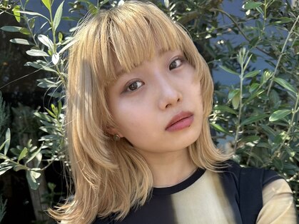 シェリッシュ ノース(Sheriche North)の写真