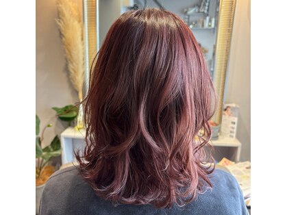 ソフ(soph)の写真