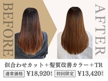 フィールルーチェ(Feel luce)