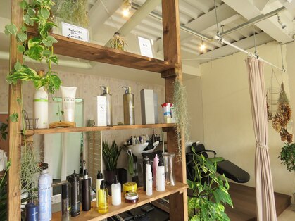 リュミエール(Lumiere)の写真