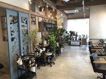 やまねこ美容室の雰囲気（R7.７月の店内です）