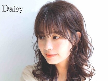デイジー(Daisy)の写真