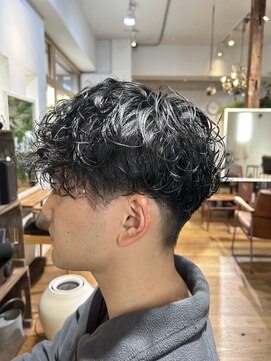 ボタニカ(Botanica) スペインカール