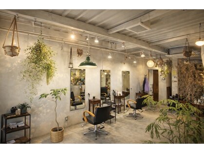 クレードル(cradle)の写真