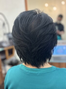 シーズンプラス(SEASON PLUS) 40代50代60代70代 白髪染め【SEASON+野入】ショートレイヤー1B