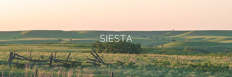 シエスタ(SIESTA)のサロンヘッダー