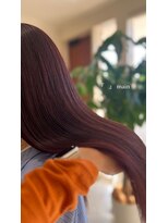メイン(『　　』main) カシスレッド