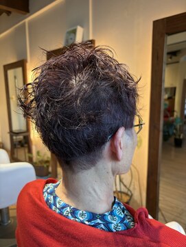 ティーズ フレール T's frere ショート