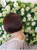 ミニボブ
