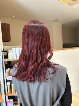 ステラバイケンジ(STELLA by KENJE) カシスカラーレッドカラーボルドーカラーブリーチなしカラー