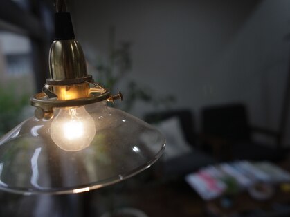 キナリ(kinari)の写真