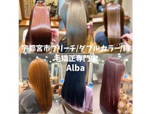 宇都宮市ブリーチ/ダブルカラー/縮毛矯正専門店Alba【アルバ】