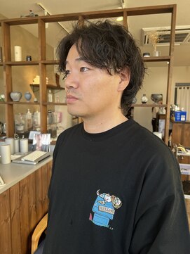 トリスター(TREASTAR) たて巻きスパイラル