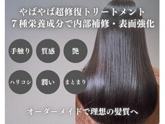 髪の修復専門店 hair care salon Schon