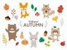 お疲れサマー頭皮9/1～9/31限定★　カット+クレンジングシャンプー⇒4000