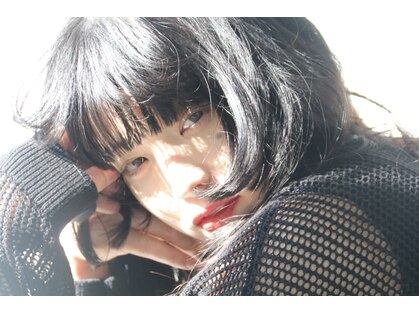 ドッグスター(dog star)の写真